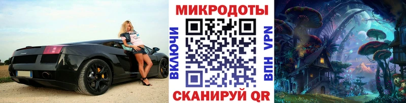 где продают наркотики  mega вход  Псилоцибиновые грибы Cubensis  Сольвычегодск 